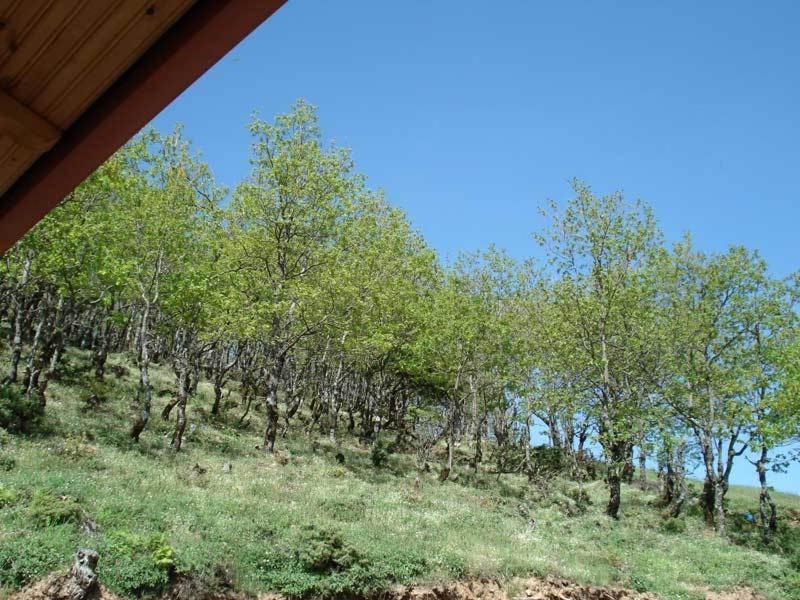 Guesthouse Irida Belokomiti Exteriér fotografie